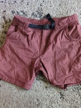 Rust Red Casual Shorts